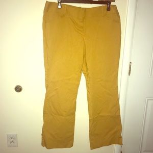 The Limited Exact Stretch Pants